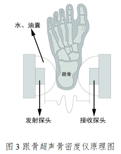 超聲骨密度儀注冊技術(shù)審查指導(dǎo)原則(2017年第180號)(圖3) 超聲骨密度儀注冊技術(shù)審查指導(dǎo)原則(2017年第180號)(圖3)