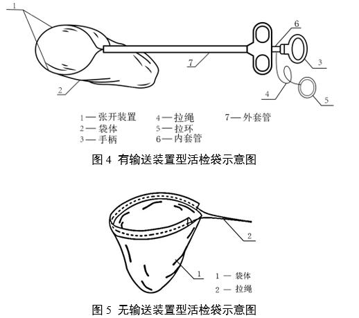 一次性使用內(nèi)窺鏡用活檢袋注冊審查指導(dǎo)原則（2025年第20號）(圖4)