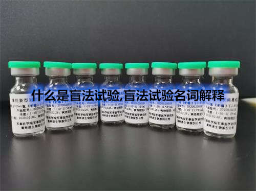 臨床試驗(yàn)盲法試驗(yàn)名詞解釋-什么情況下可以揭盲？