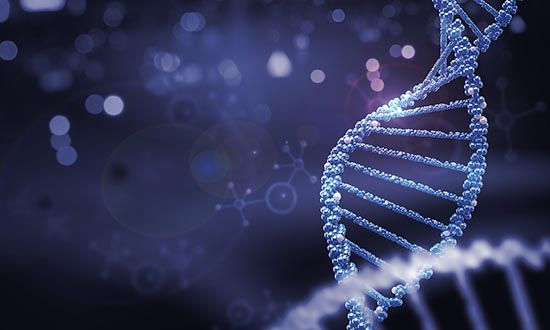 什么是Ⅰ期臨床研究？一文搞懂Ⅰ期臨床試驗全過程(圖3)