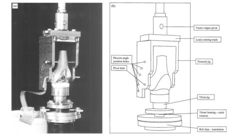 全膝關(guān)節(jié)假體系統(tǒng)產(chǎn)品注冊技術(shù)審查指導原則（2020年第36號）(圖2)